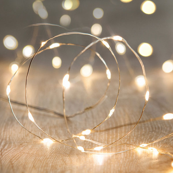 Wire Fairy Lights - 2m - <p style='text-align: center;'>R 20</p>